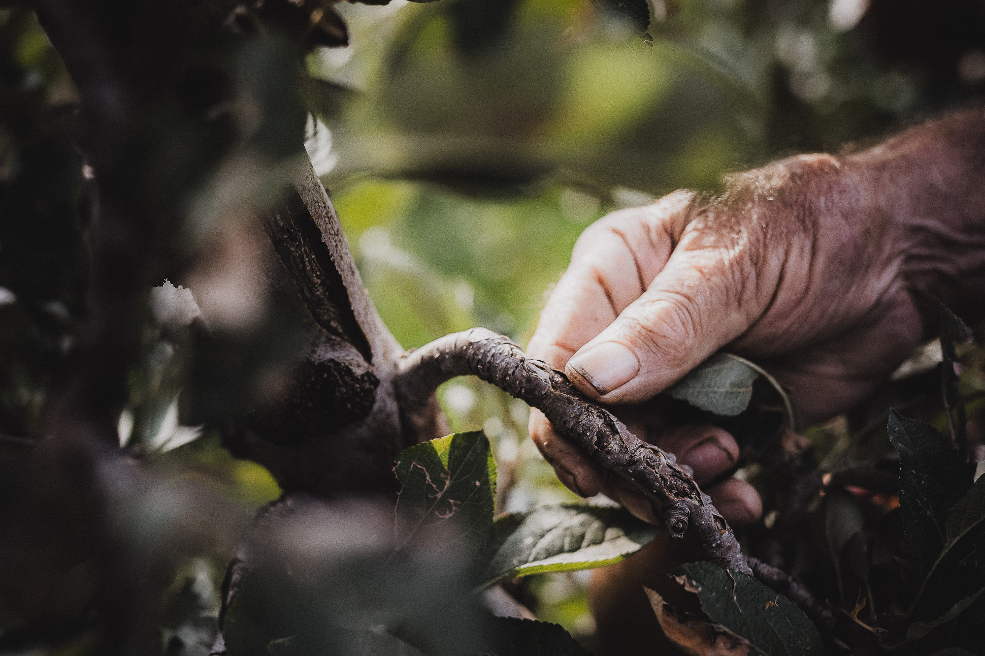 ©manuelkottersteger