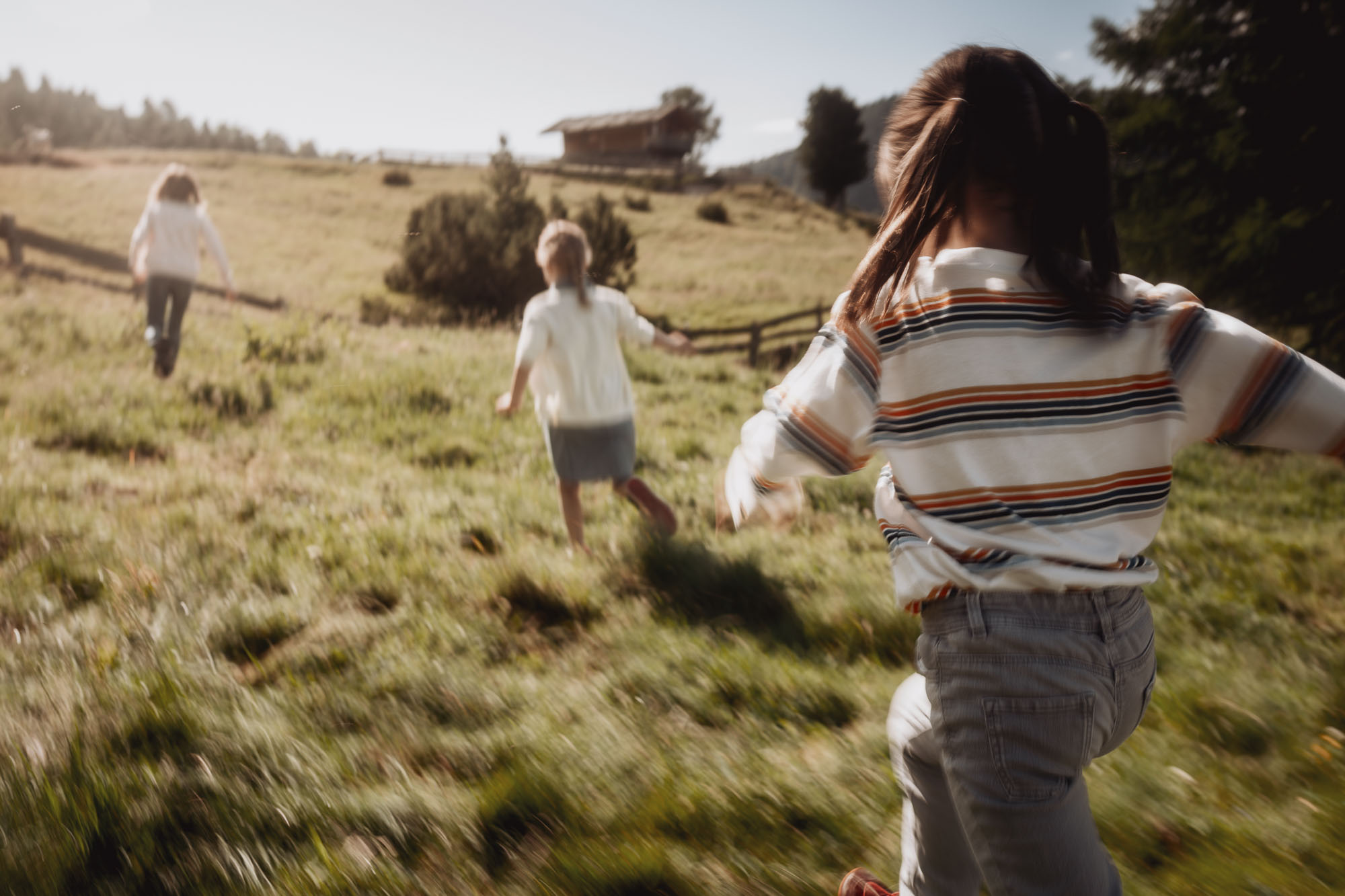 004_idm-milchsektor_©KOTTERSTEGER_250702_KOT_8235-633