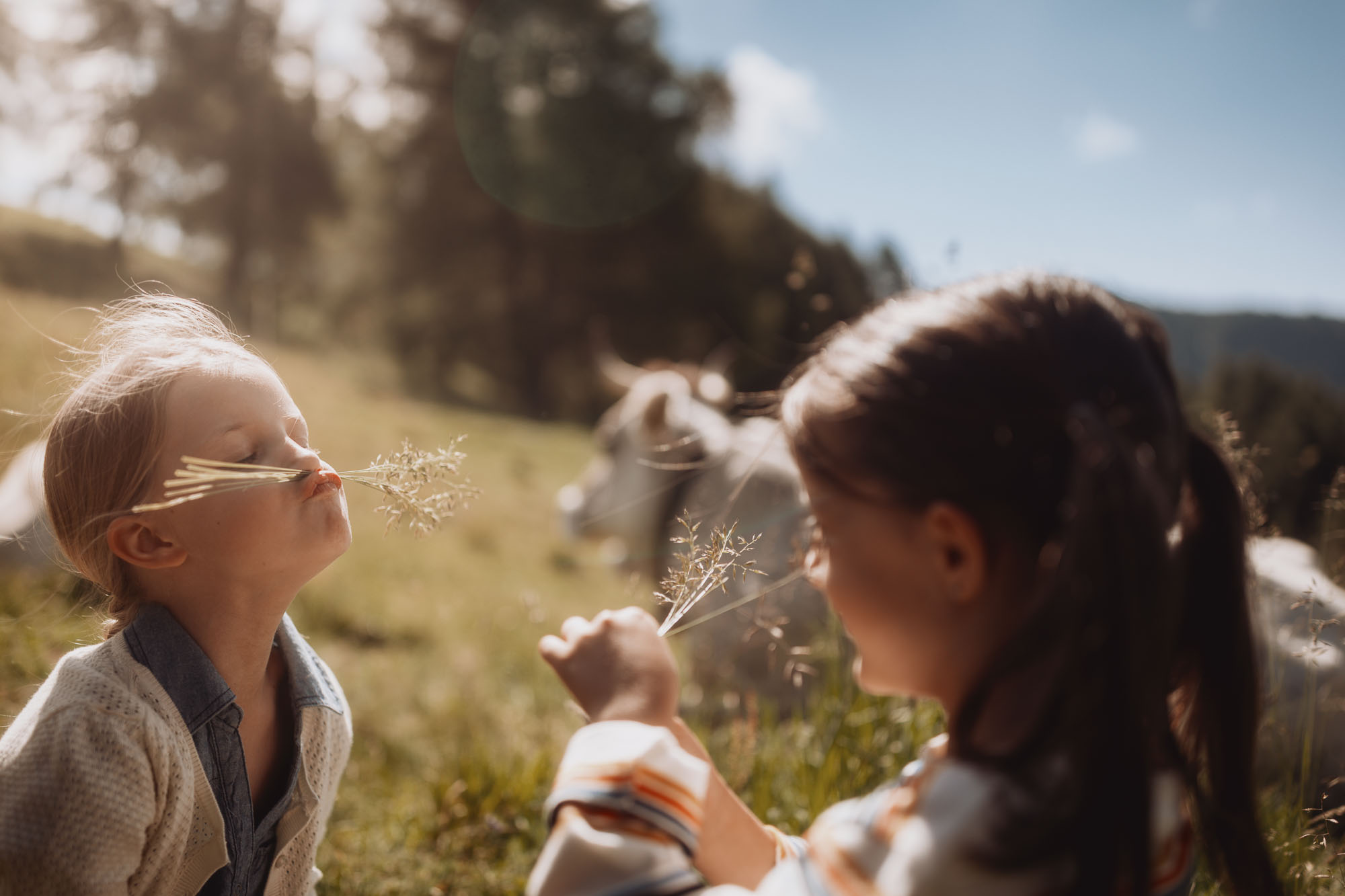 010_idm-milchsektor_©KOTTERSTEGER_250702_KOT_8680-240