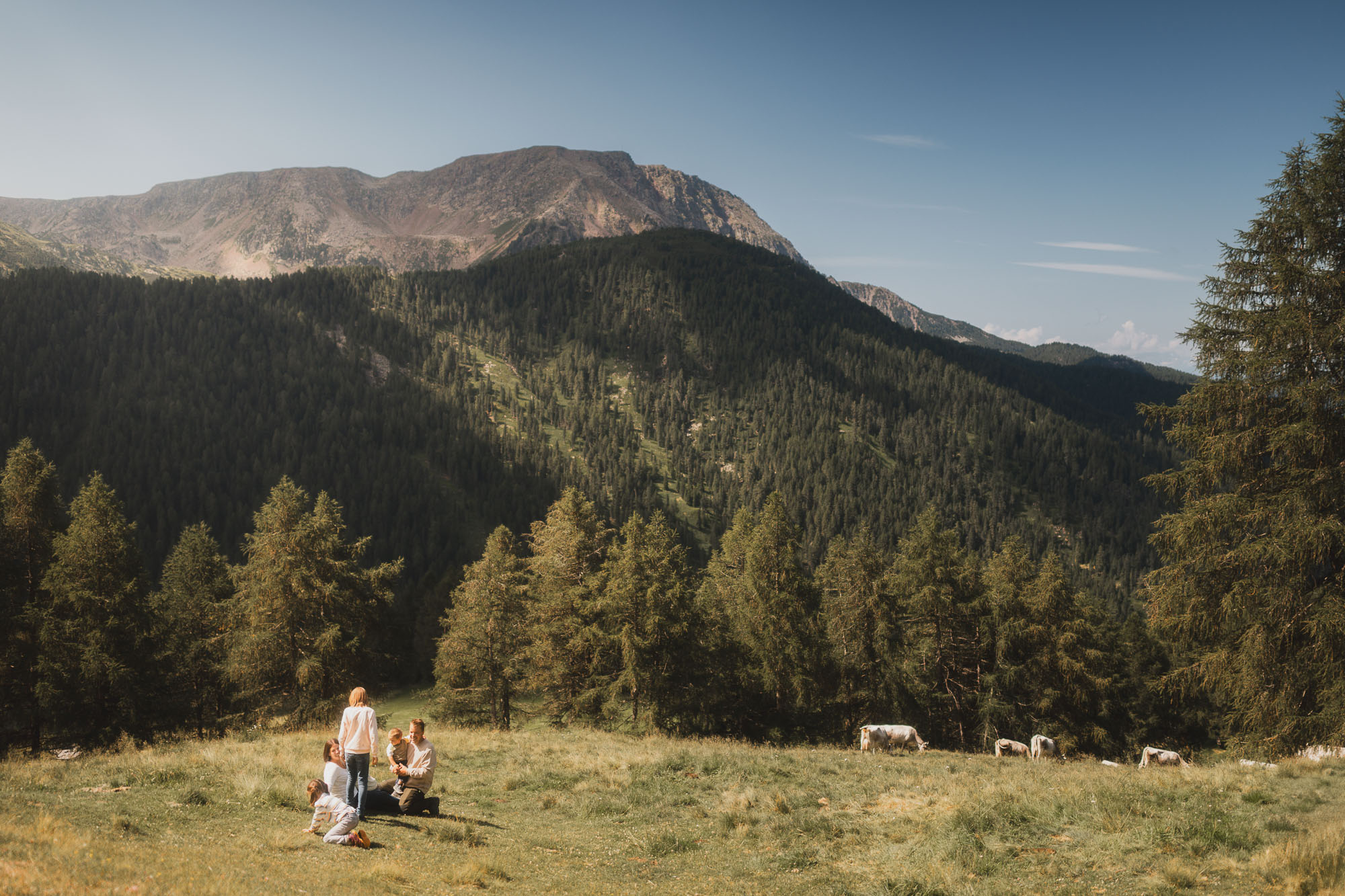 014_idm-milchsektor_©KOTTERSTEGER_250702_KOT_9173-22