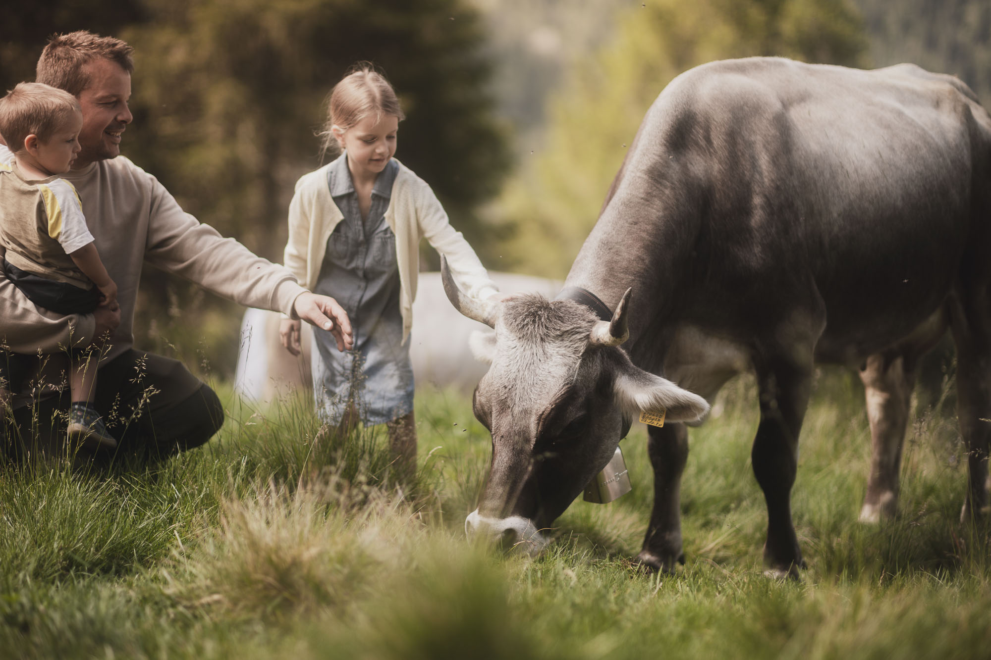 017_idm-milchsektor_©KOTTERSTEGER_250702_KOT_9265-1247