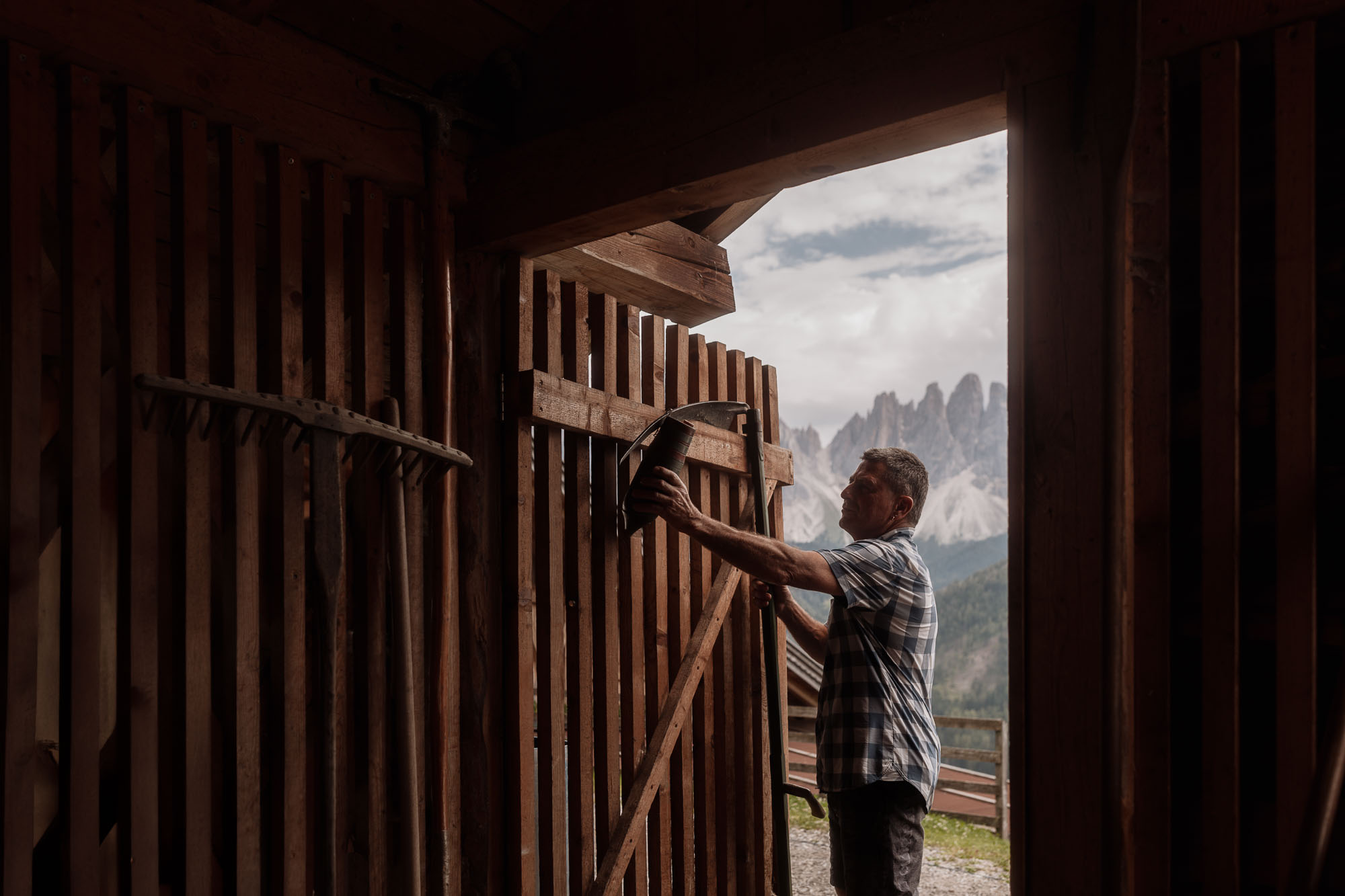 039_idm-milchsektor_©KOTTERSTEGER_250703_KOT_6052-483-bearbeitet