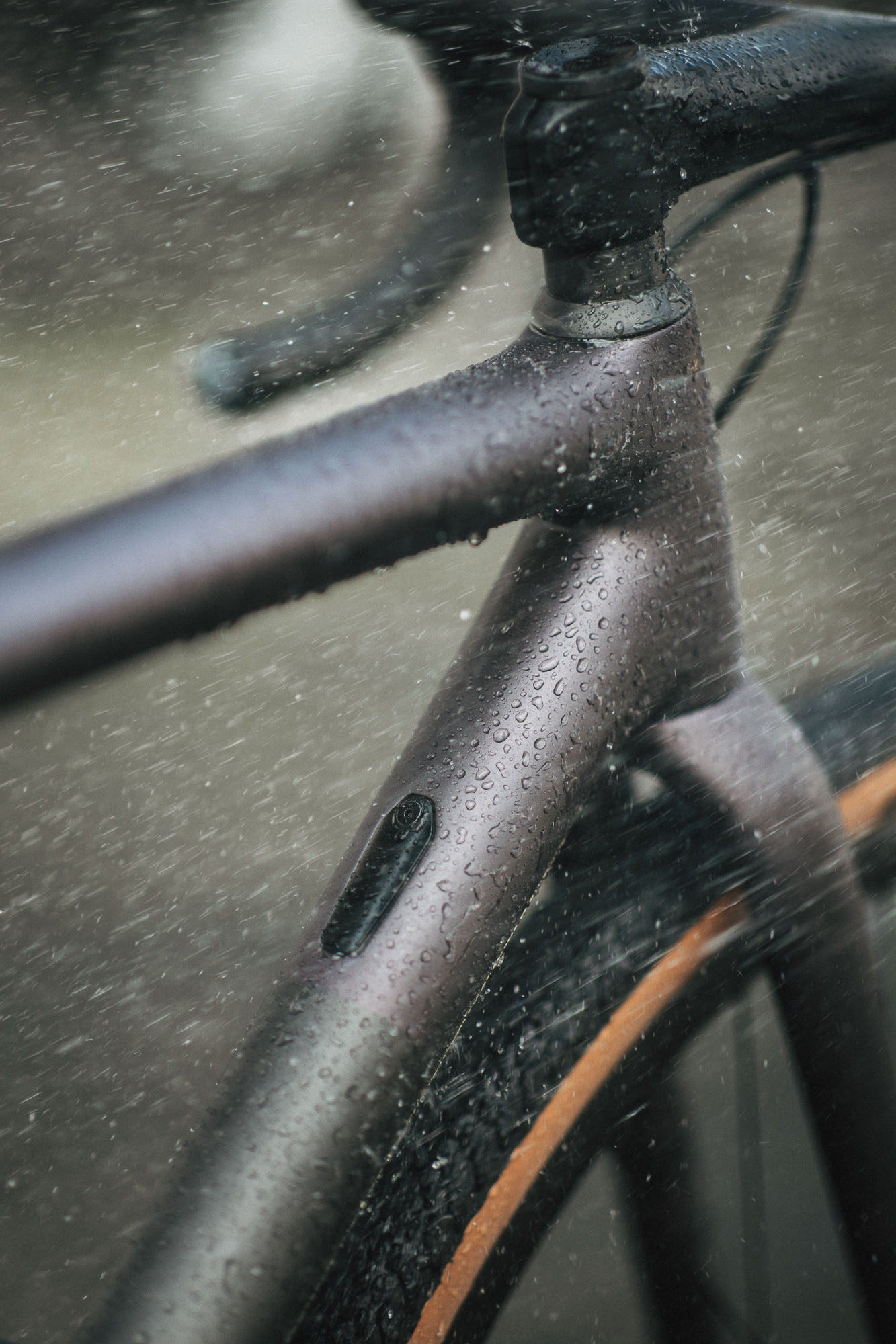 054_tunap_©KOTTERSTEGER_260303_KOT_0685