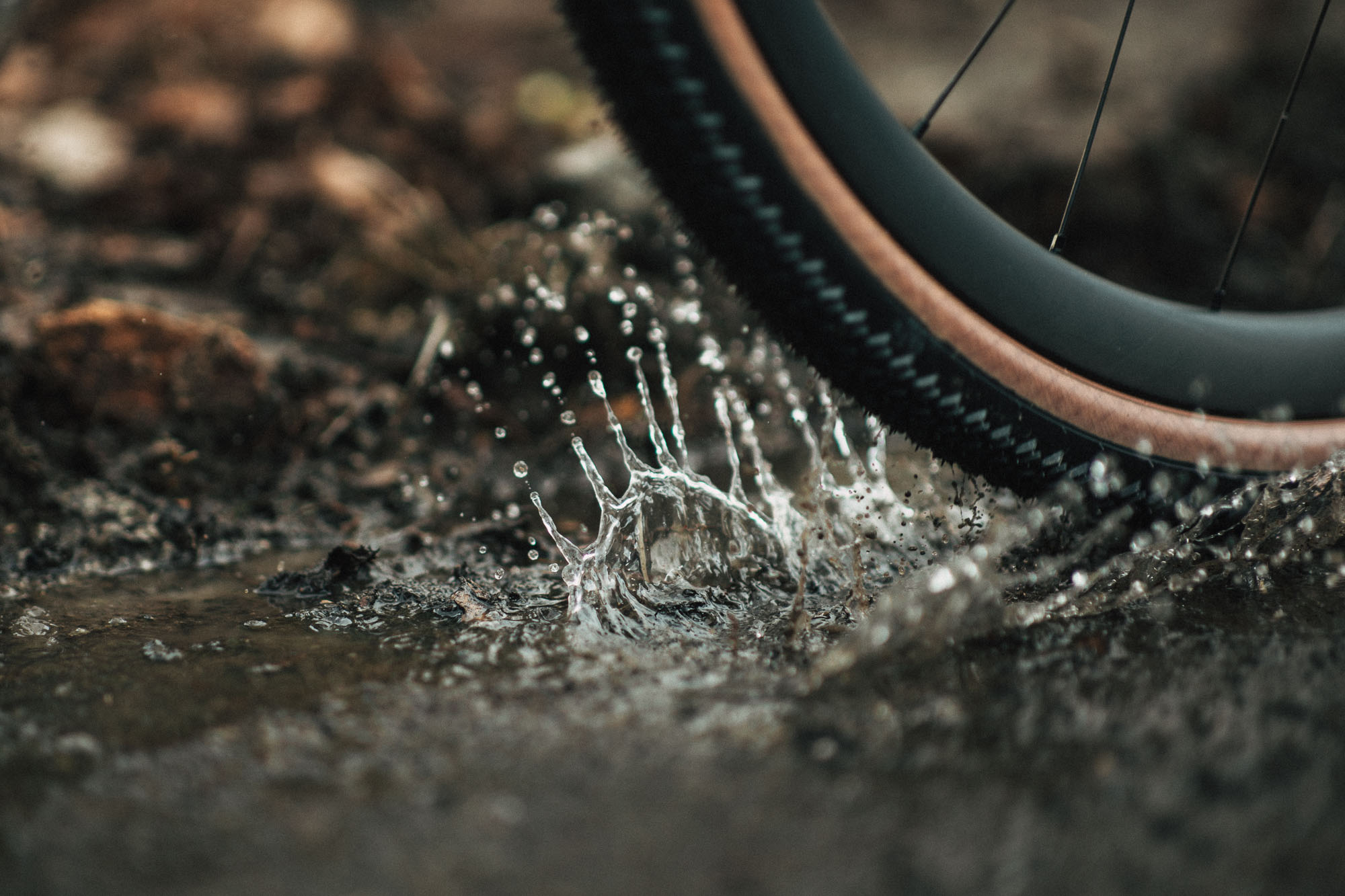 056_tunap_©KOTTERSTEGER_260303_KOT_0702