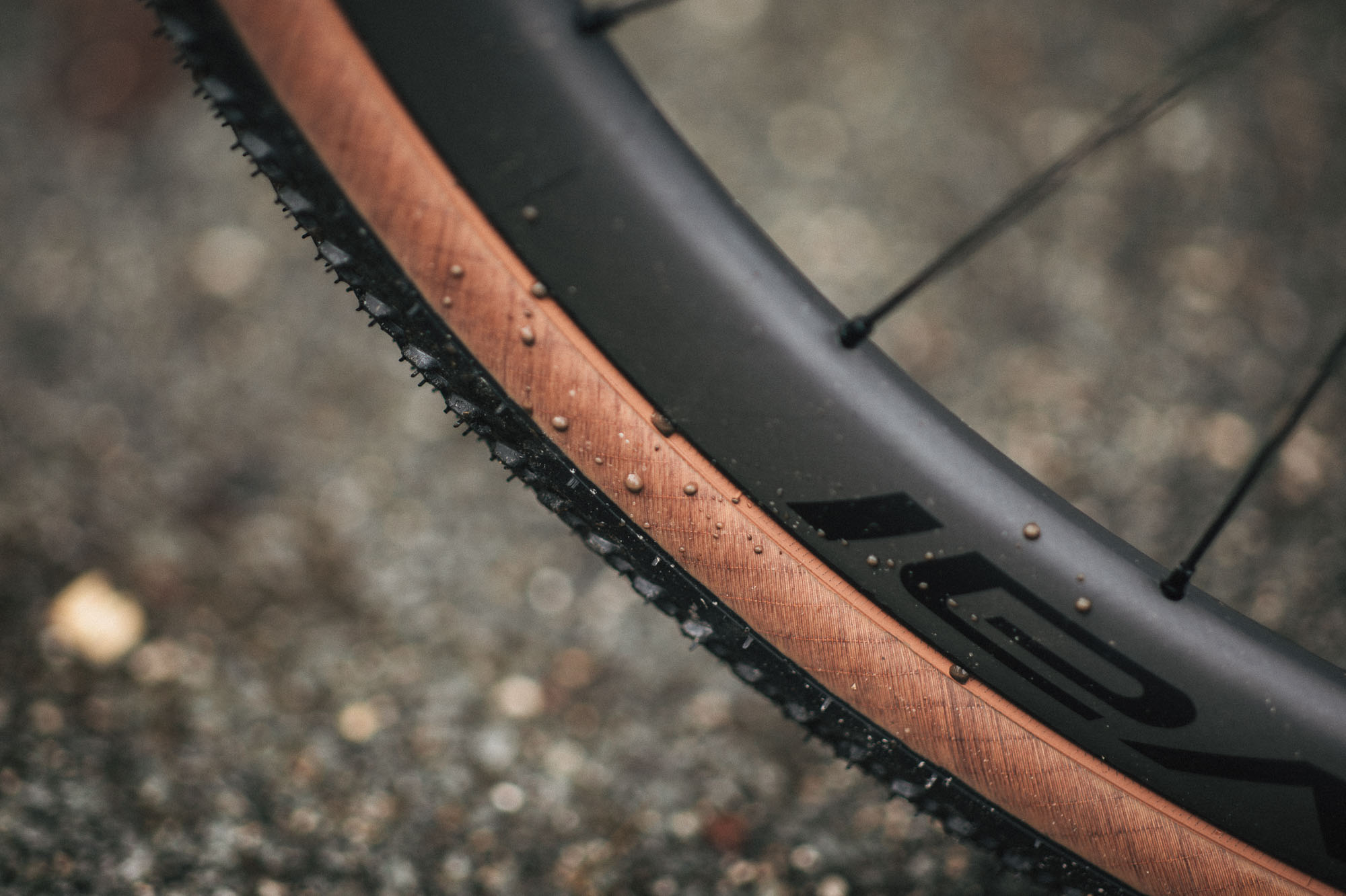 064_tunap_©KOTTERSTEGER_260303_KOT_0744