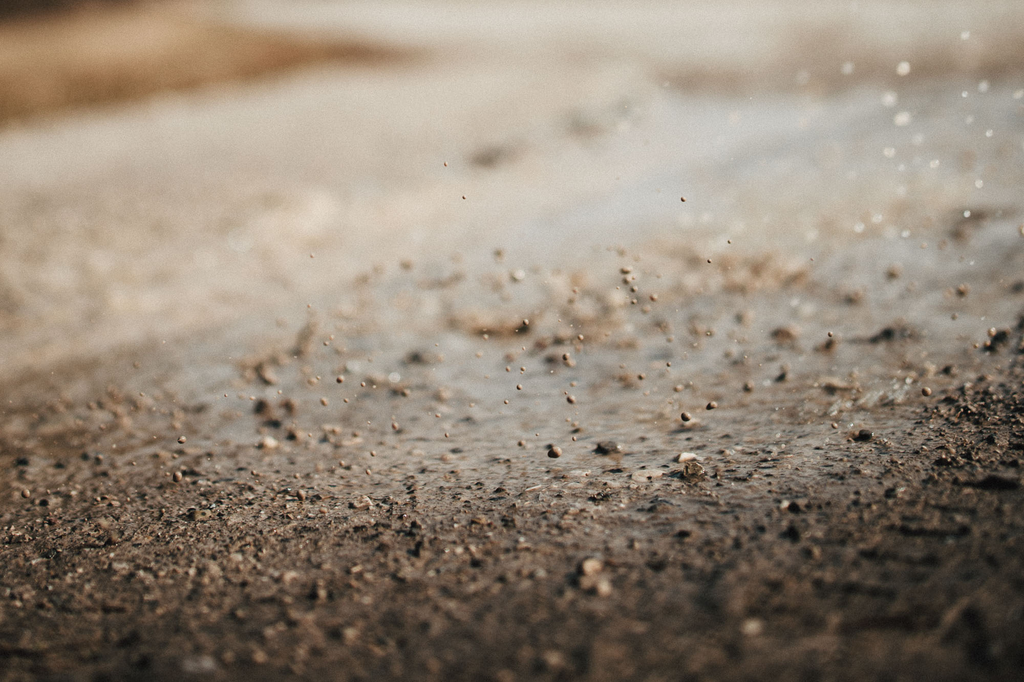 104_tunap_©KOTTERSTEGER_260303_KOT_2630