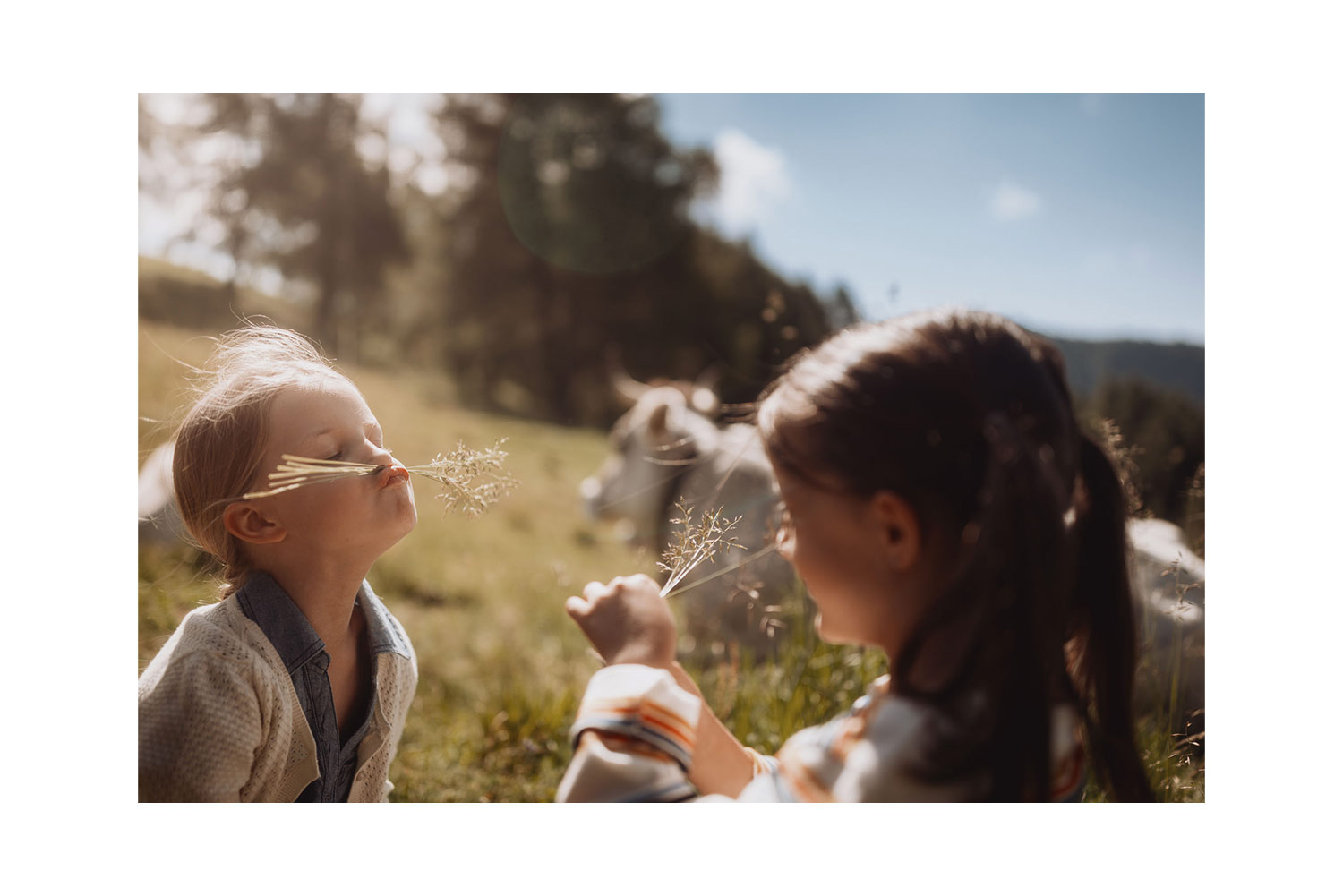 IDM / Südtiroler Milch